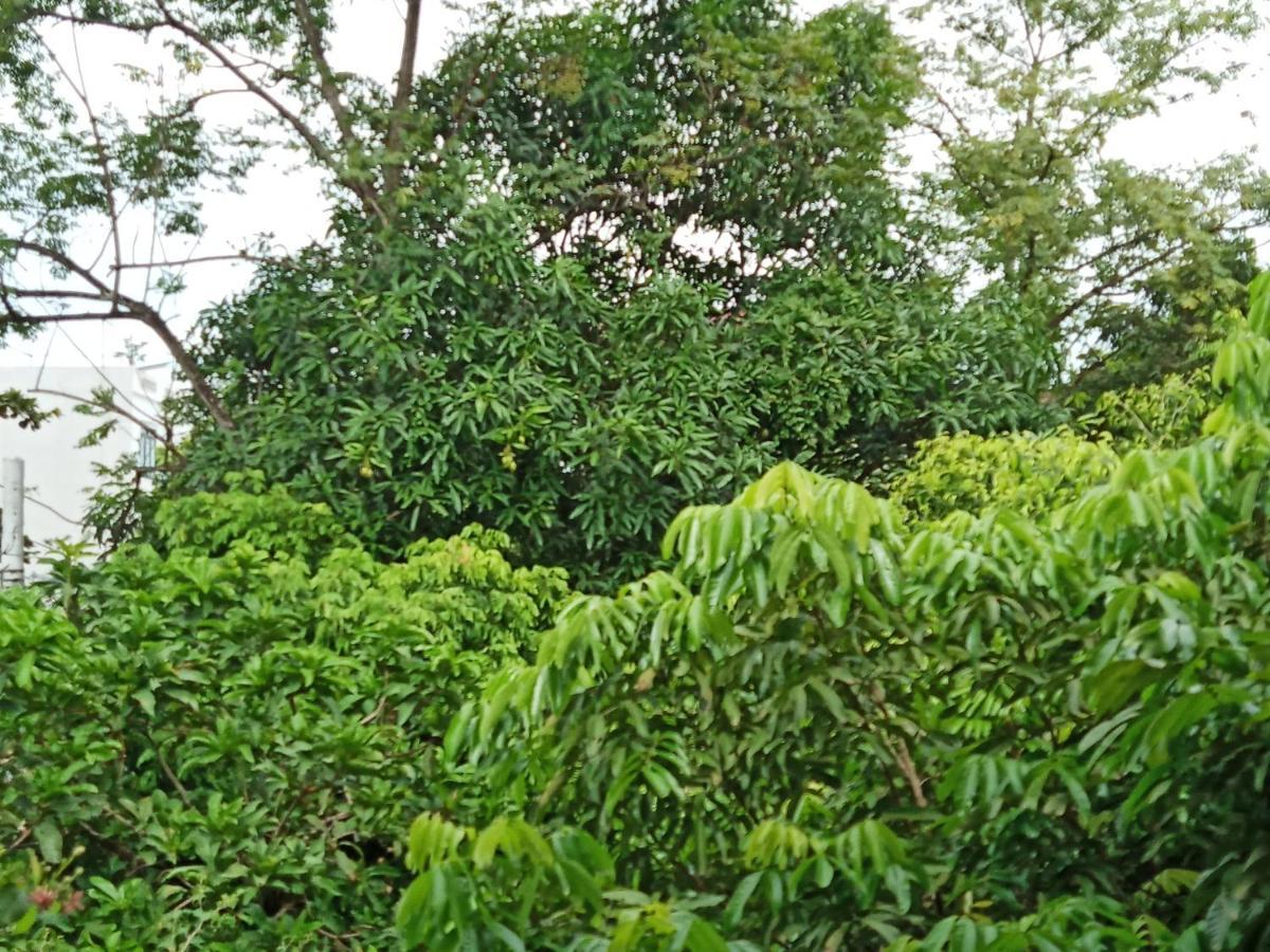 Green Space Homestay Ninh Binh Exterior foto
