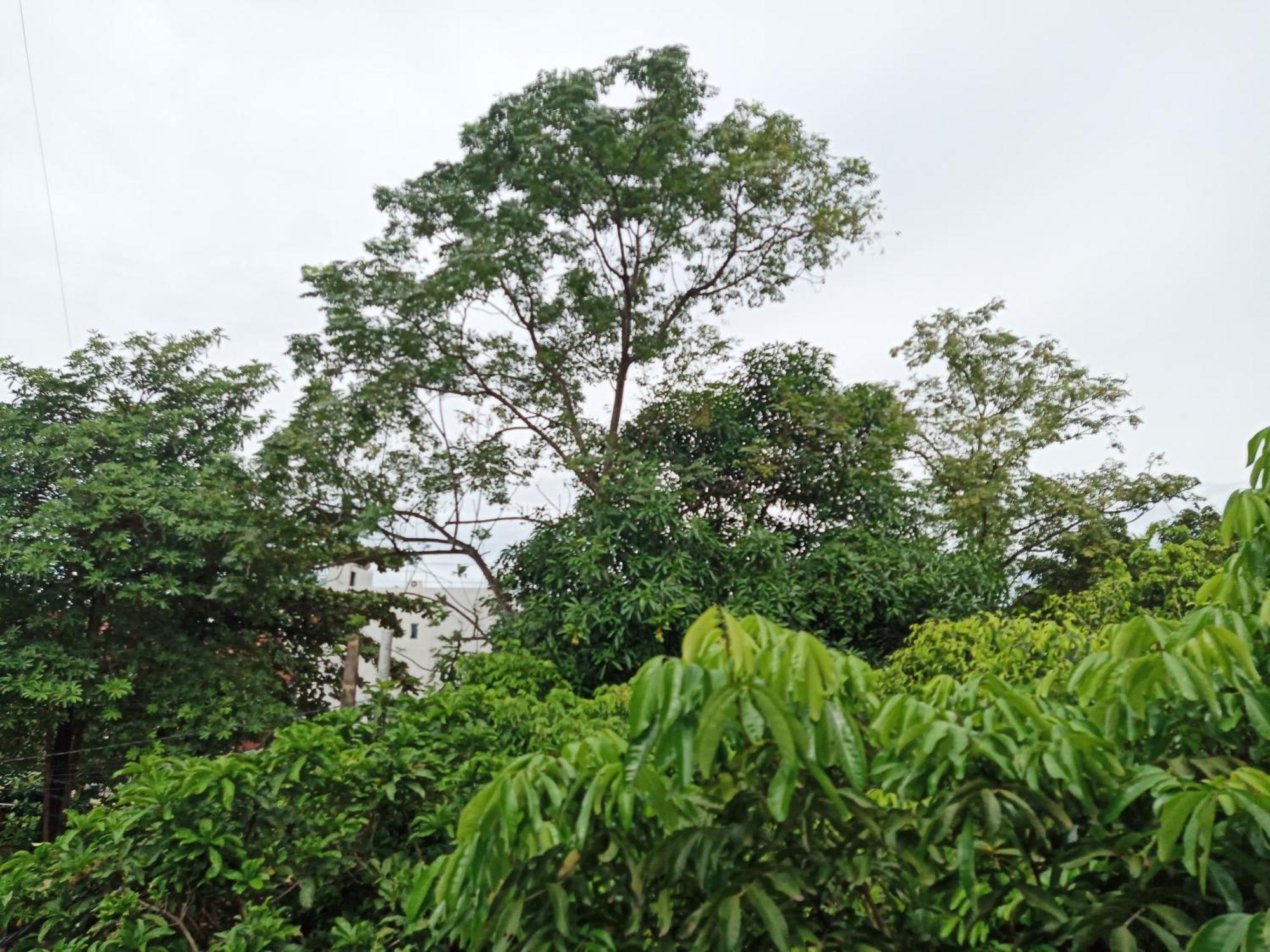 Green Space Homestay Ninh Binh Exterior foto